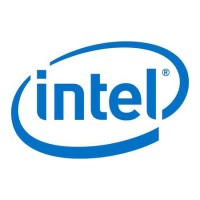 Intel Capital Diversity Fund