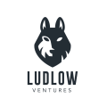 Ludlow Ventures