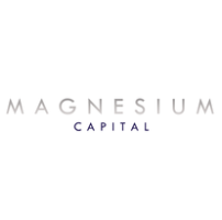Magnesium Capital LLP