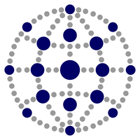 Spider Capital Partners