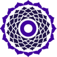 True Wealth Ventures