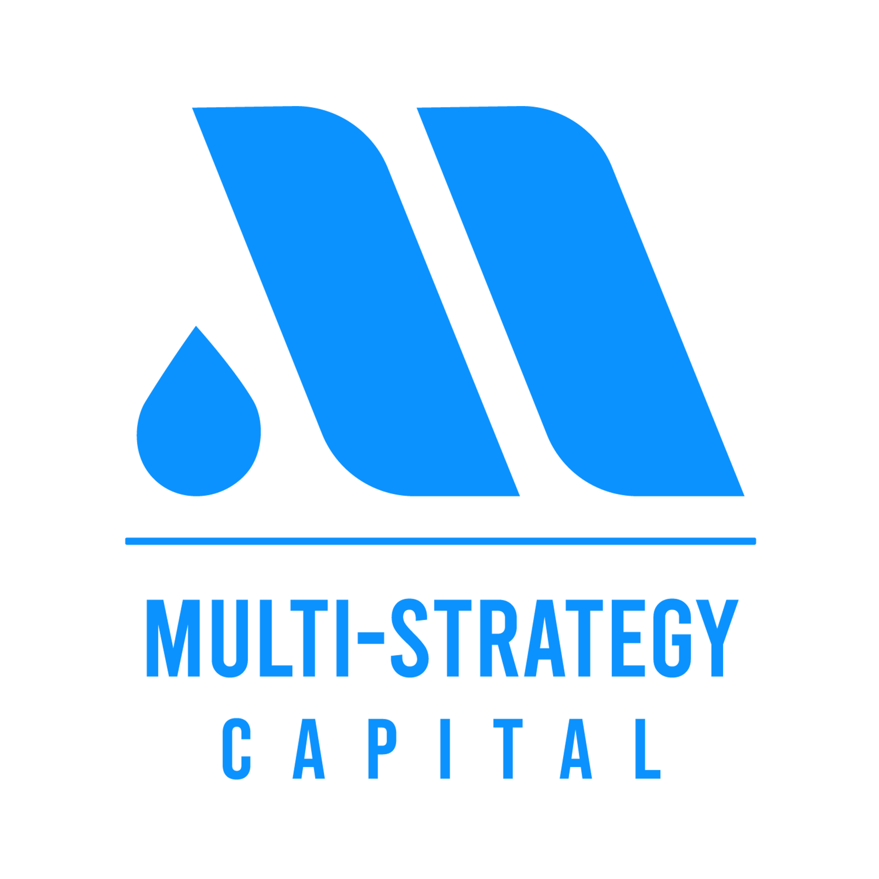 Multi-Strategy Capital