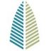 Spruce Capital