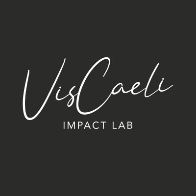 Vis Caeli Impact Lab